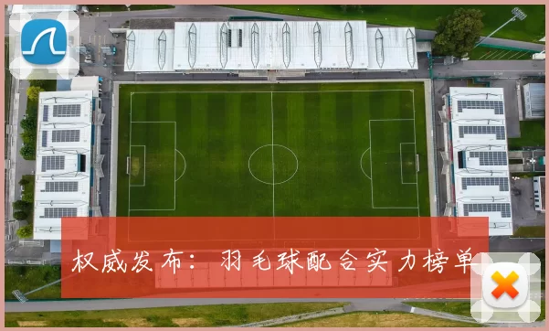 权威发布：羽毛球配合实力榜单