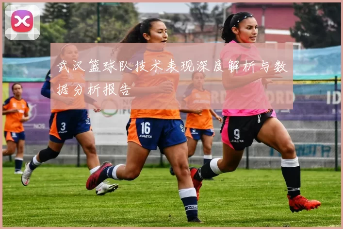 武汉篮球队技术表现深度解析与数据分析报告