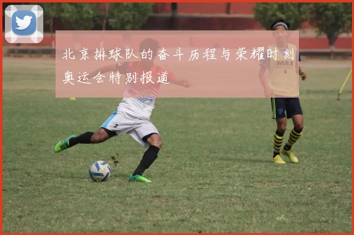 北京排球队的奋斗历程与荣耀时刻奥运会特别报道
