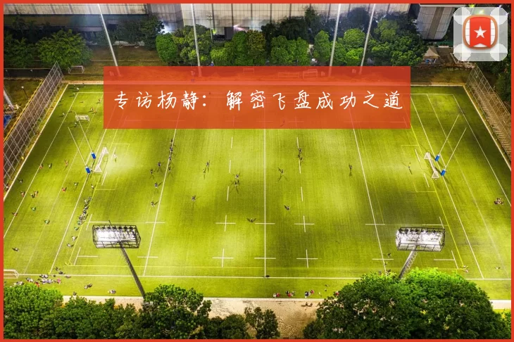 专访杨静：解密飞盘成功之道